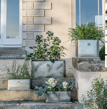 Decorative metal planters with plants on stone steps outside a building.