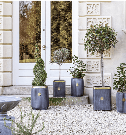 Decorative potted plants in front of a white door with decorative elements.