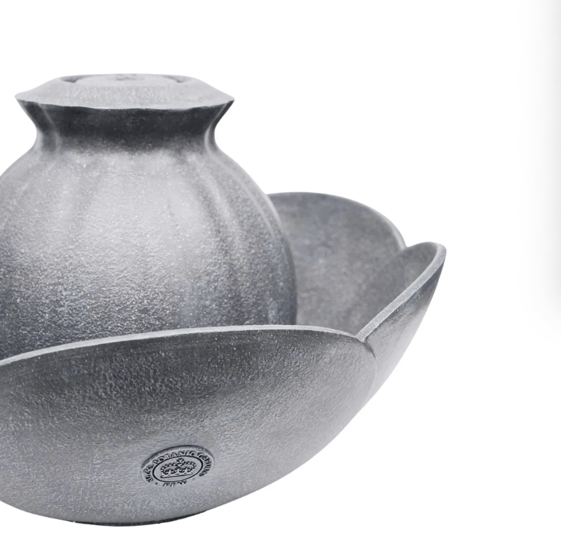 A close-up of a textured gray ceramic or stone vessel with a rounded bulbous body and a wide, petal-like base, photographed on a white background.