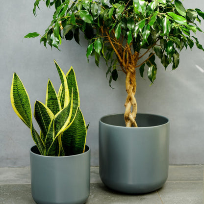 Ivyline Lisbon Planter charcoal lifestyle