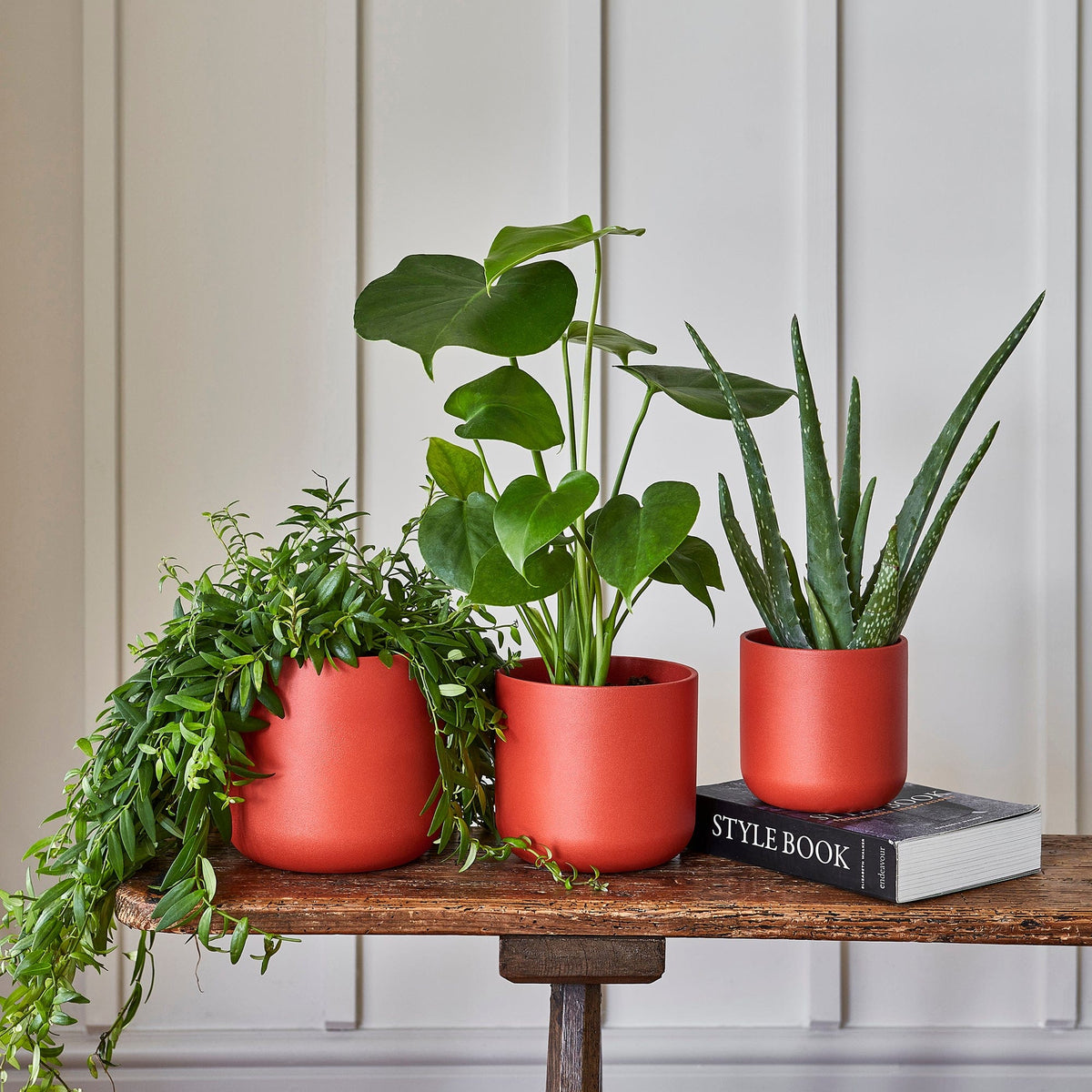 Ivyline Lisbon Planter coral lifestyle