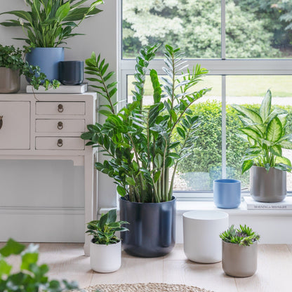 Ivyline Lisbon Planter lifestyle
