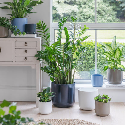 Ivyline Lisbon Planter greige lifestyle