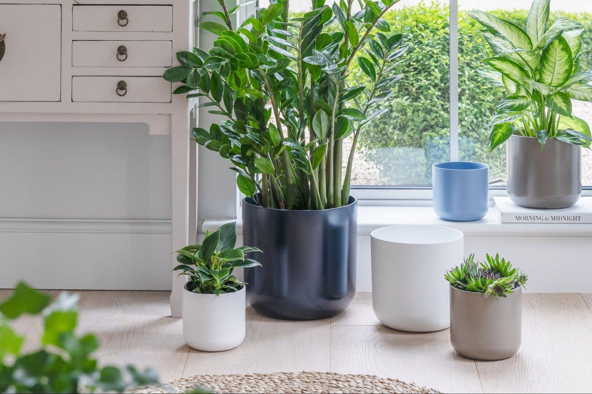 Ivyline Lisbon Planter powder-blue lifestyle