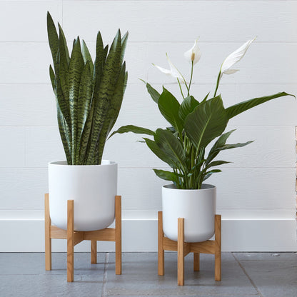 Ivyline Lisbon Planter white lifestyle