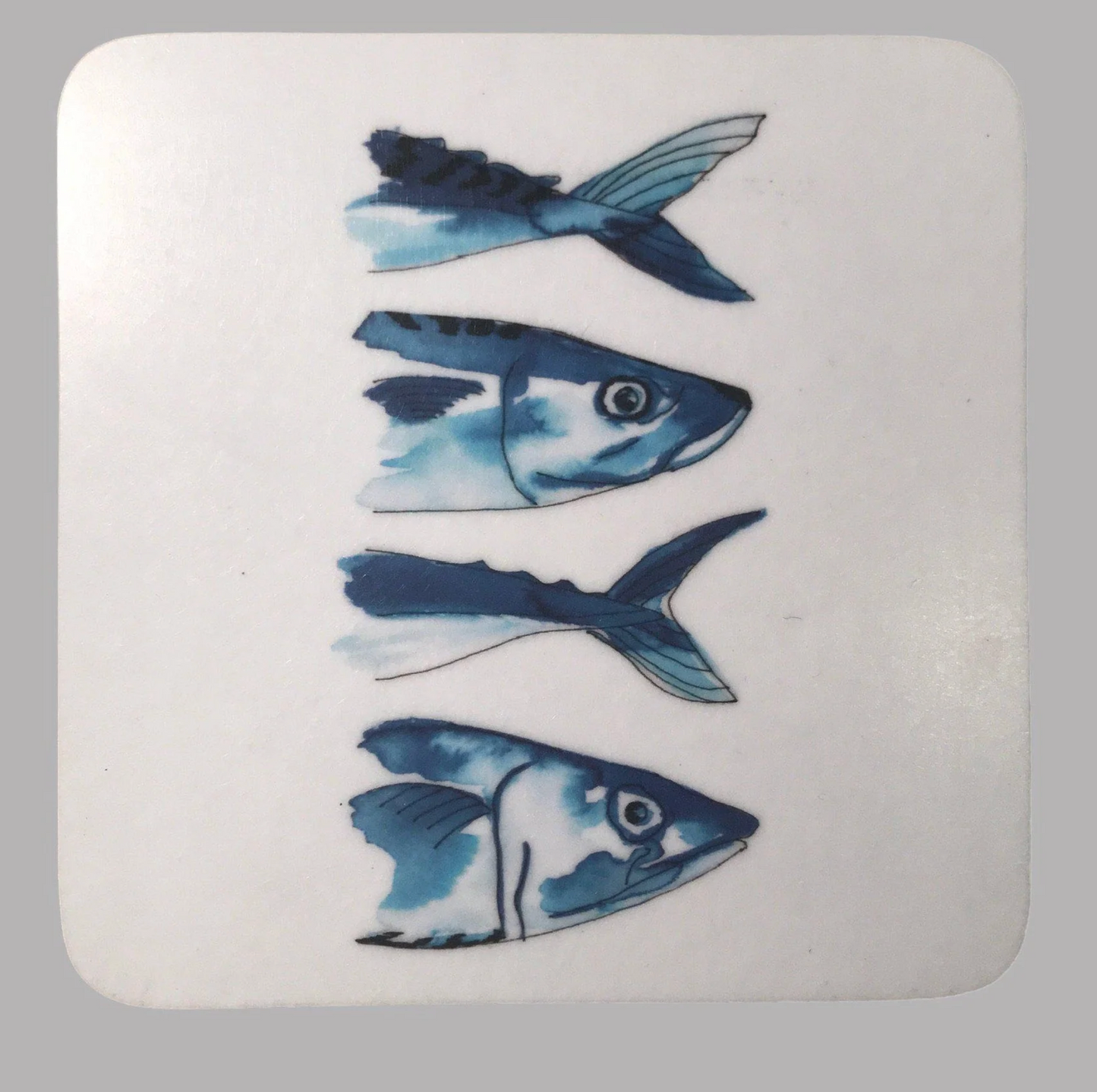 Mackerel Coaster by SeaKisses