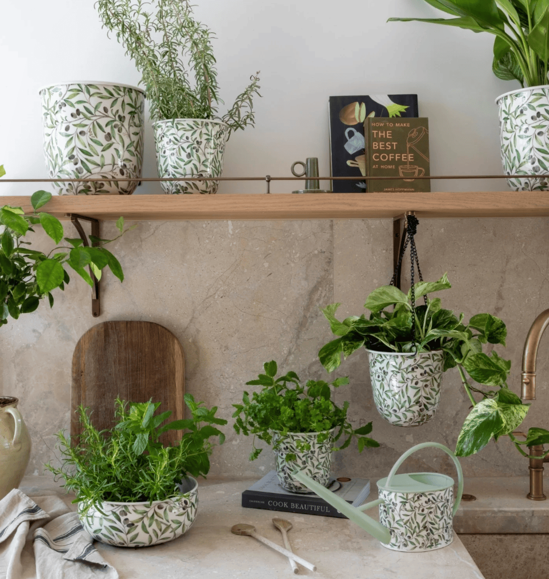 Potted plants on a kitchen shelf with a neutral background