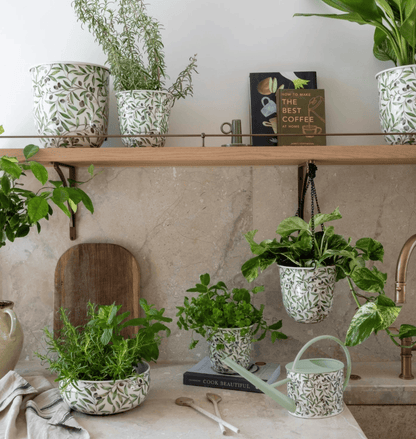 Potted plants on a kitchen shelf with a neutral background