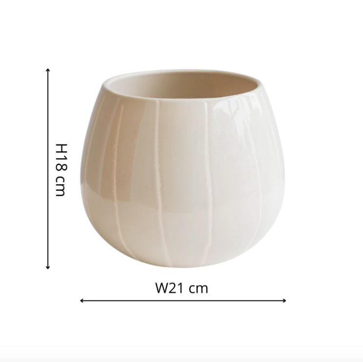 Nova Wax Relief Planter by Ivyline