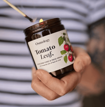 Osmology Tomato Leaf candle being lit with a blurred background