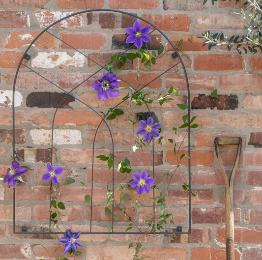 Outdoor Arch Trellis by Ivyline