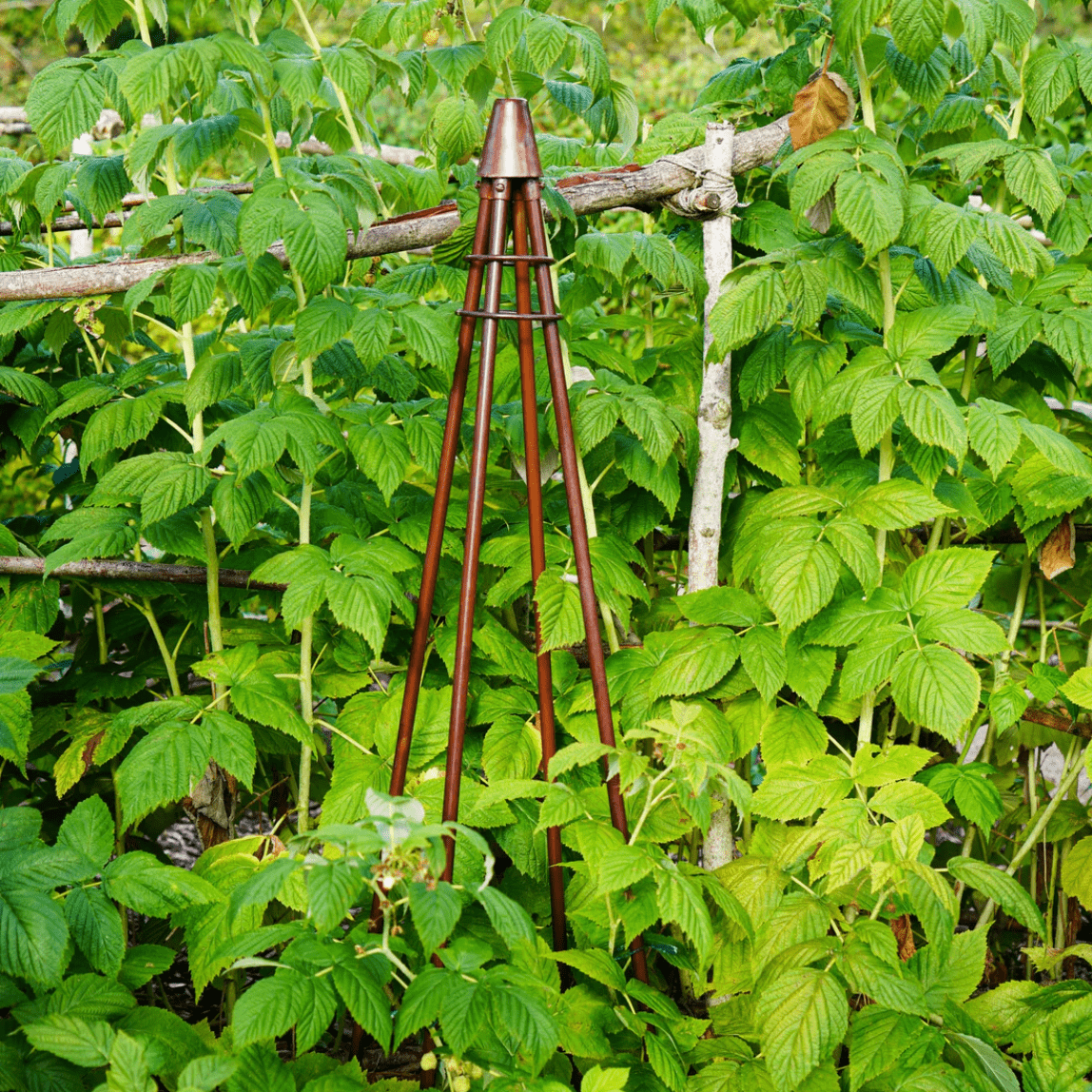 Outdoor Climber Tripod by Ivyline- Brown