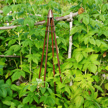 Outdoor Climber Tripod by Ivyline- Brown