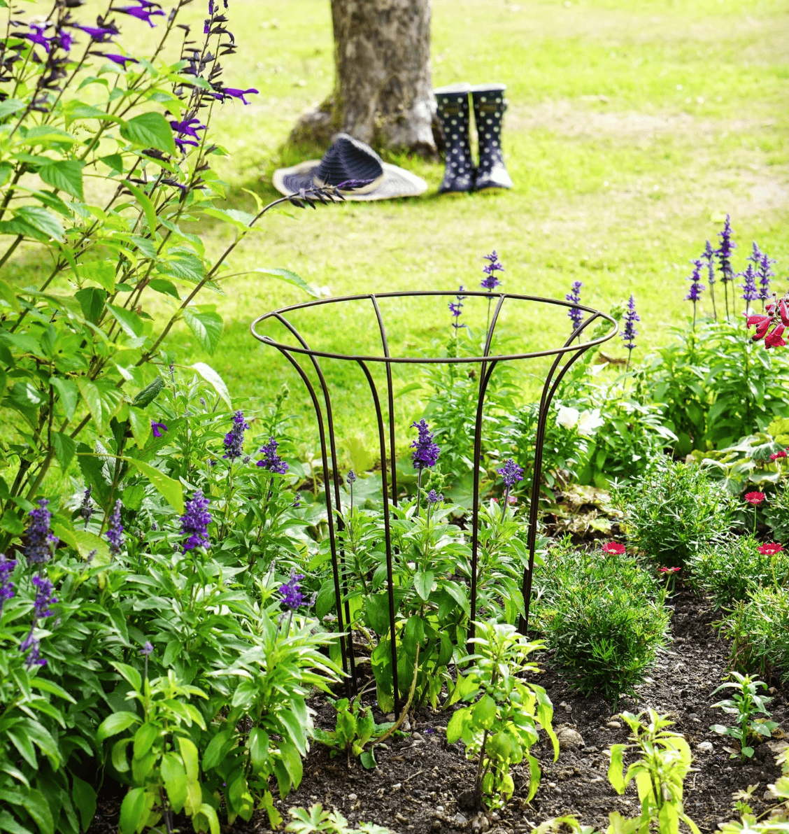 Garden scene with a black metal garden fluted climber with flowers and boots in the background.