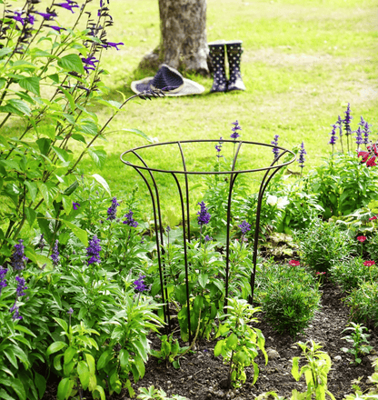 Garden scene with a black metal garden fluted climber with flowers and boots in the background.