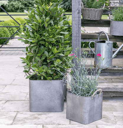 Outdoor Galvanised Rope Handle Square Planter Set of Two