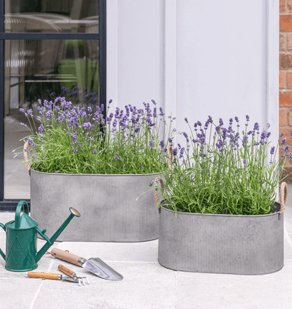 Outdoor Galvanised Rope Handle Trough Set of Two