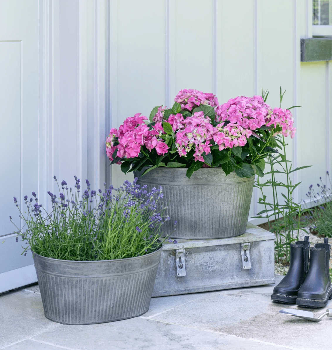 Outdoor Galvanised Trough by Ivyline