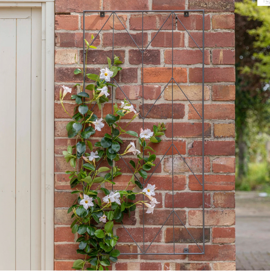 Outdoor Herringbone Trellis by Ivyline