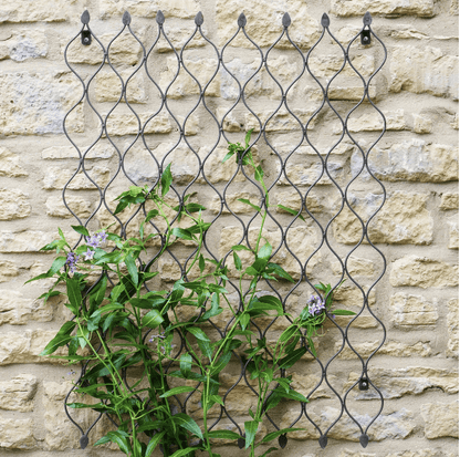 Outdoor Honeycomb Trellis by Ivyline