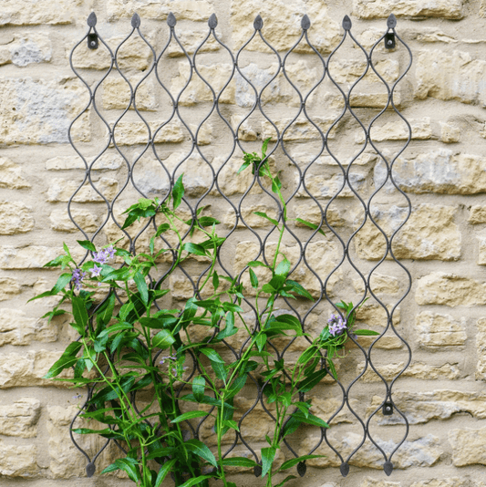 Outdoor Honeycomb Trellis