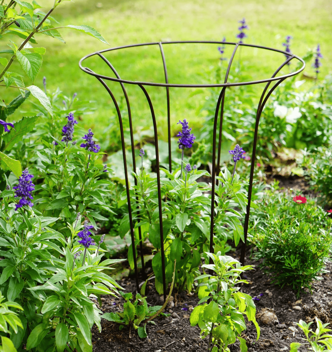 Outdoor Fluted Climber by Ivyline