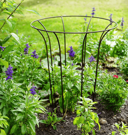 Outdoor Fluted Climber by Ivyline