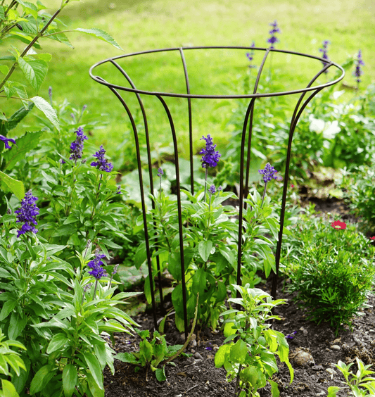 Outdoor Fluted Climber by Ivyline