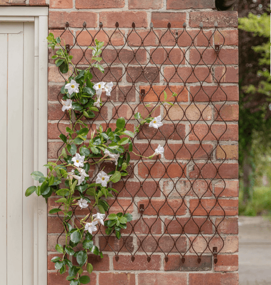 Ivyline Outdoor Honeycomb Trellis - Brown