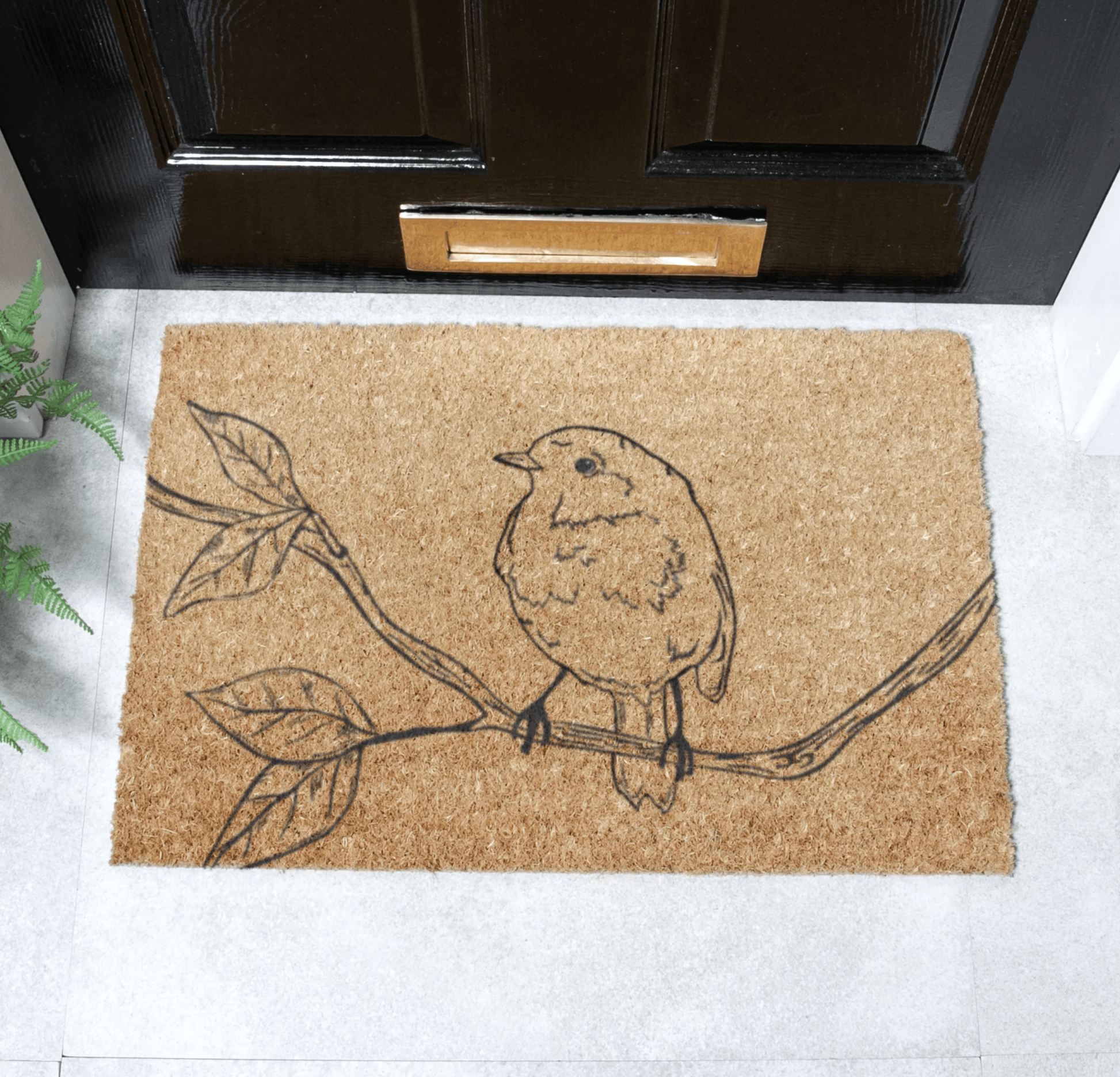 Coir Doormat With Winter Robin Design Robin 