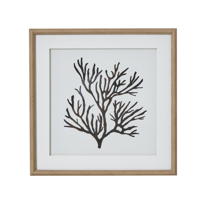 Reef Coral Art Mounted In Beaded Frame