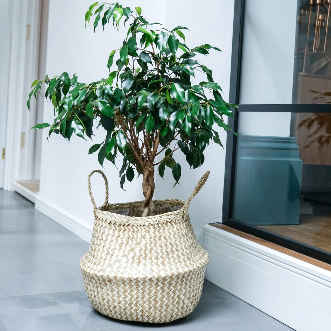 Seagrass Chevron Lined White Basket by Ivyline