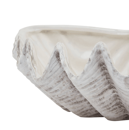 Ceramic Shell Dish Close Up