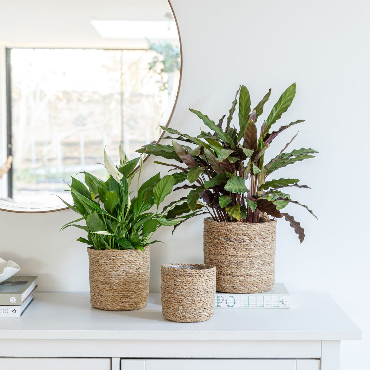 Theo Baskets by Ivyline lifestyle cream colour