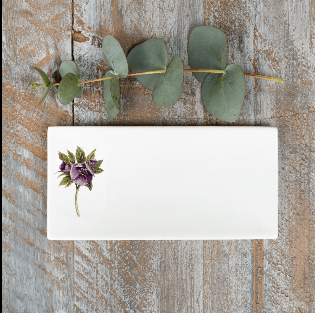 Hellebore  flower print on a Bone China Soap Dish by Toasted Crumpet 