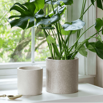 Valetta Terrazzo Planter Set of 3