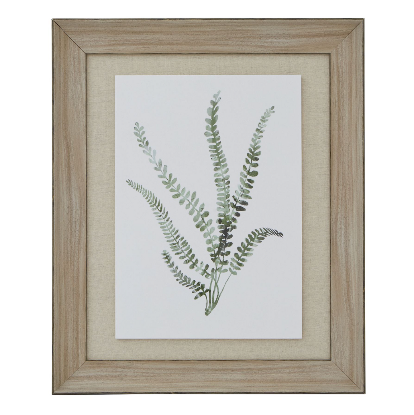 Watercolour Delicate Fern In Washed Wood Frame