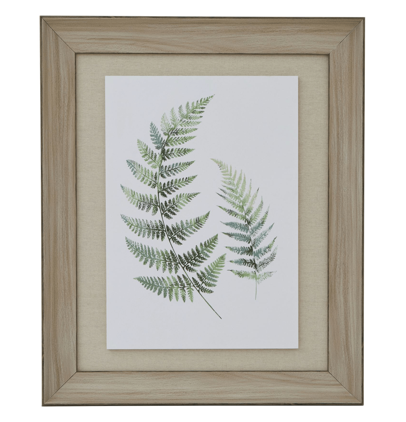 Watercolour Fern Duo In Washed Wood Frame