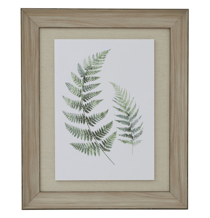 Watercolour Fern Duo In Washed Wood Frame