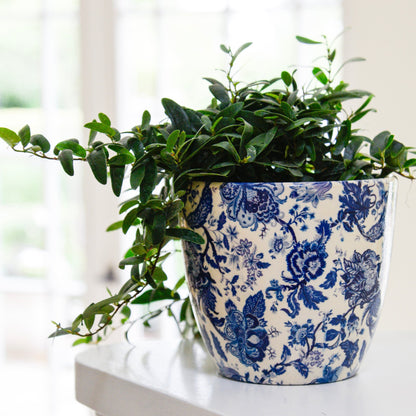 Monza Ceramic Planter by Ivyline vintage blue