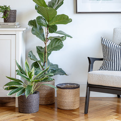 Theo Baskets by Ivyline lifestyle