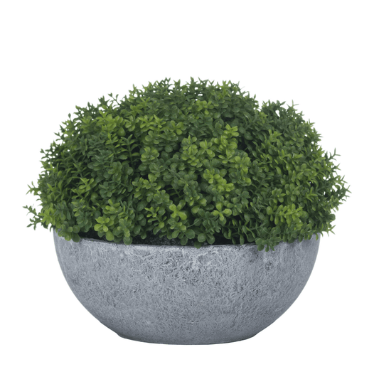 Artificial Hebe Shrub in Aged Planter