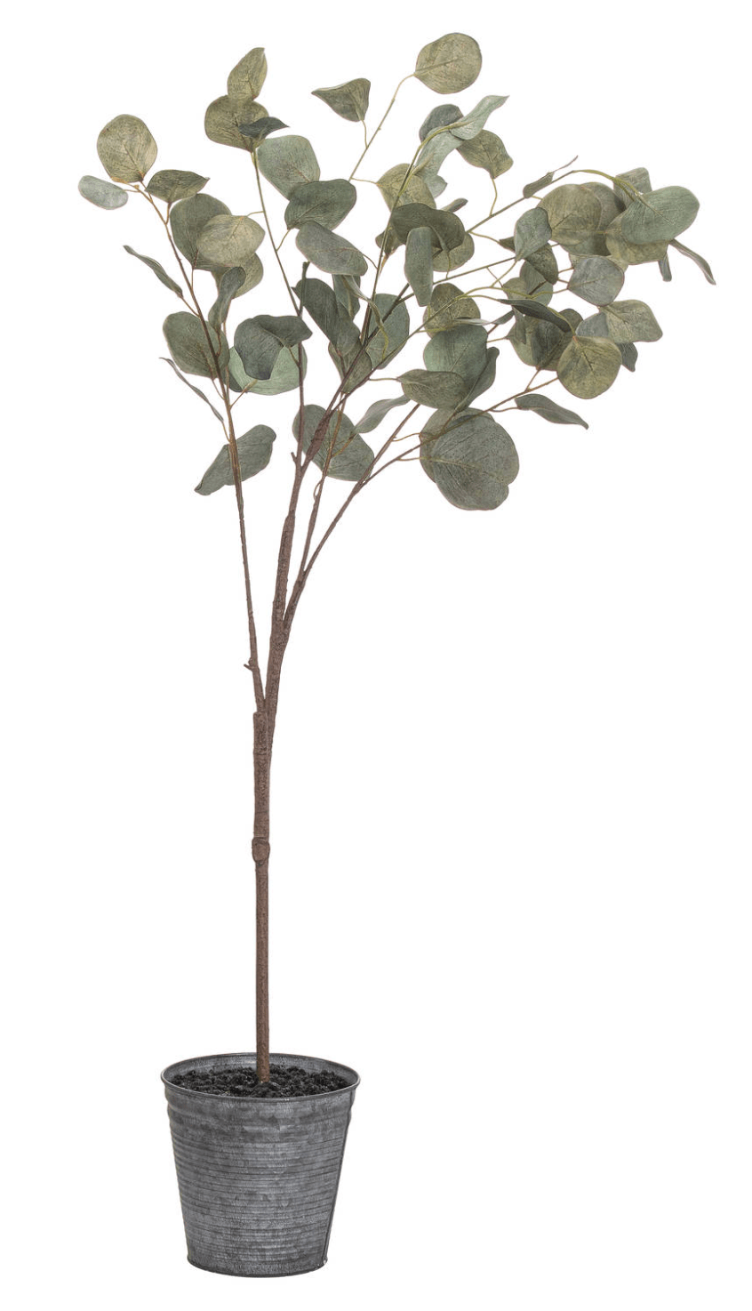 Artificial Eucalyptus Tree