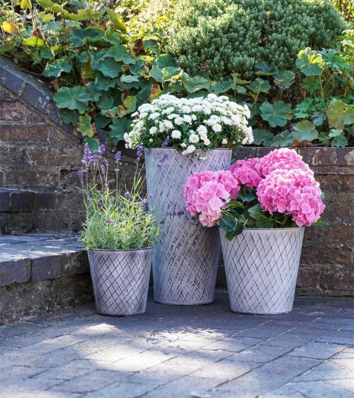 Ivyline Outdoor Chatsworth Zinc Planters