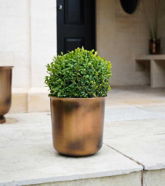 Ivyline Outdoor Hampton Copper Metal Planter with shrub