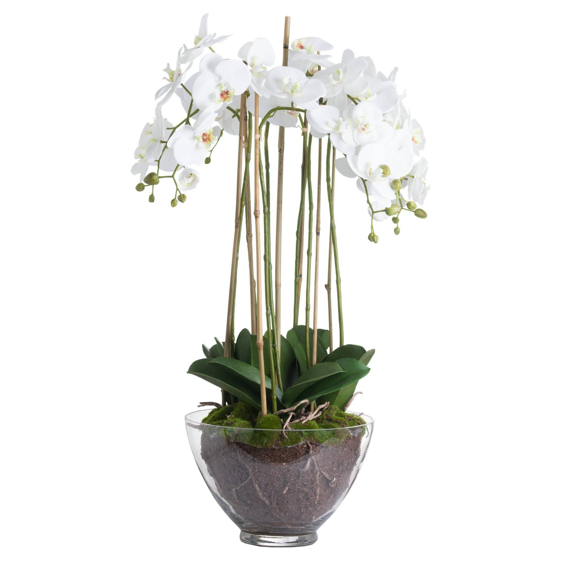 Large Faux Orchid In Glass Planter