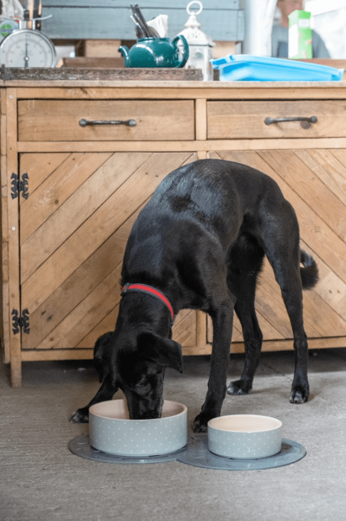 Petface Gray Placemat with black dog eating