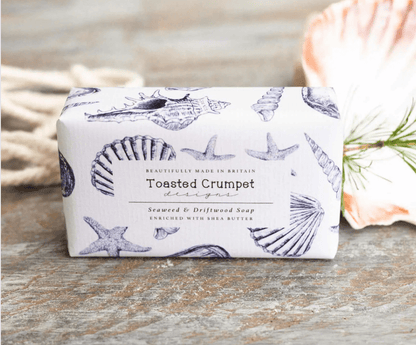 Toasted Crumpet Seaweed and Driftwood Soap with matching Conch Shell design rectangular soap dish - just the soap detail