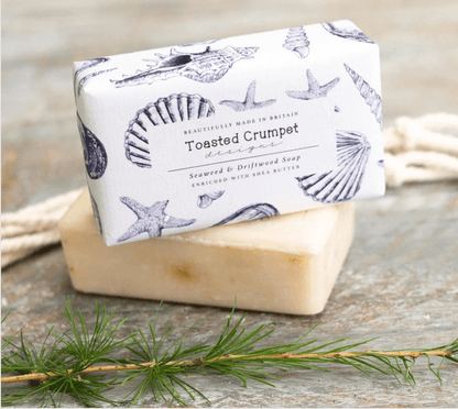 Toasted Crumpet Seaweed and Driftwood Soap with matching Conch Shell design rectangular soap dish - soap wrapped and unwrapped